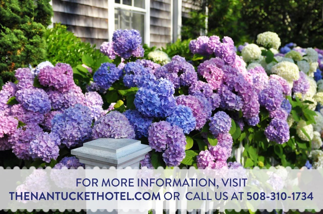The Nantucket Hotel & Resort Dış mekan fotoğraf